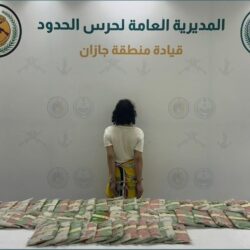 ارتفاع حصيلة ضحايا حرائق الغابات في لوس أنجلوس الأمريكية إلى 24 شخصًا