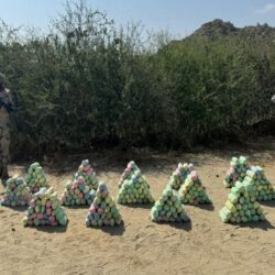 ارتفاع حصيلة ضحايا حرائق الغابات في لوس أنجلوس الأمريكية إلى 24 شخصًا