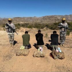 مجمع الملك سلمان العالمي يُطلق “تقرير مؤشر اللغة العربية”