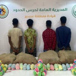 “وزير الموارد البشرية” يعقد عددًا من اللقاءات على هامش المؤتمر الدولي لسوق العمل