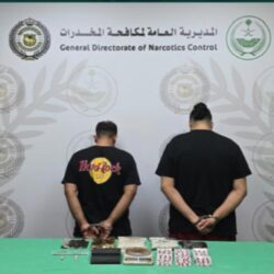 “هيئة الإحصاء ” الإنتاج المحلي من الخضروات يوفر %80.6 من إجمالي احتياجات المملكة