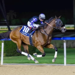 مؤتمر “خير أمة” الثالث لدول آسيان بمملكة تايلند يناقش في جلساته الثانية والثالثة الاتباع للسلف الصالح في المعتقد والمنهج وأصول منهج الصحابة