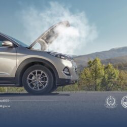 السفير السحيباني: تنظيم المملكة لمؤتمر الآسيان محطة بارزة في تعزيز الشراكات الإقليمية والدولية