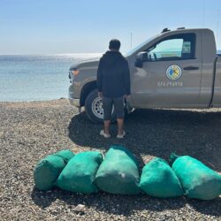 انطلاق ورشة العمل الثالثة لبرنامج تسريع ريادة الأعمال MIT REAP