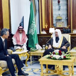 أمانة العاصمة المقدسة تتيح خدمة إصدار تصريح عربة متنقلة للمنشآت التجارية عبر تطبيق بلدي