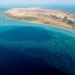 الأمير سلطان بن خالد: دعم القيادة الرشيدة جعل السعوديين يتميزون في المجالات كافة