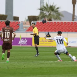 دوريات الإدارة العامة للمجاهدين بمنطقة جازان تحبط تهريب (50) كيلوجرامًا من نبات القات المخدر