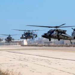 وزارة “البيئة” تحتفي بتحقيق قطاعات منظومتها أكثر من 1000 منجزٍ ضمن مبادرات برامج الرؤية