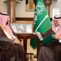 النمر العربي.. رمز التنوع الحيوي في المملكة وشبه الجزيرة العربية