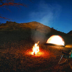 مجمع الملك سلمان العالمي للُّغة العربيَّة و”الألكسو” يختتمان مسابقة الذكاء الاصطناعيّ في خدمة اللُّغة العربيَّة