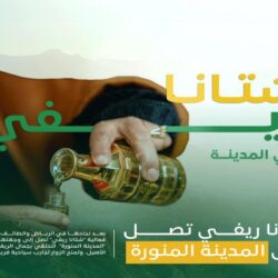 “هيئة العقار” تُعلن بدء أعمال السجل العقاري لـ (15) حيًا بالمدينة المنورة