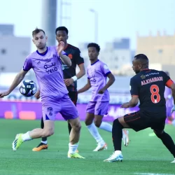 دوريات الأفواج الأمنية بمنطقة عسير تقبض على شخص لترويجه (20) كيلوجرامًا من نبات القات المخدر