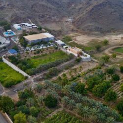 بـ 3 مواجهات اليوم .. الجولة الـ19 تشهد صراعات هبوط وصعود في دوري روشن