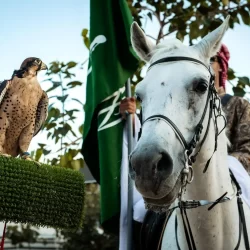 المملكة تستضيف غدًا اجتماع إقليم توزيع المعلومات الأوسط الجنوبي “SCDDR” وورشة العمل المصاحبة