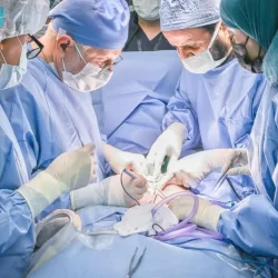 دوريات الإدارة العامة للمجاهدين بمحافظة جدة تقبض على مقيم لترويجه مادة الحشيش المخدر