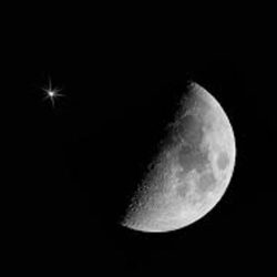 “حافلات المدينة” تطلق خدمات النقل الترددي بداية شهر رمضان