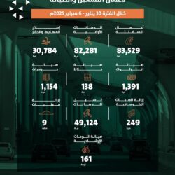 الهيئة العامة للنقل: أكثر من مليون مركبة مسجلة في 2024 بارتفاع 31% عن العام الماضي