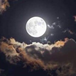 “المياه الوطنية”: آخر مهلة لتوثيق عدادات المياه قبل إيقاف الخدمات الإضافية 15 مارس الجاري