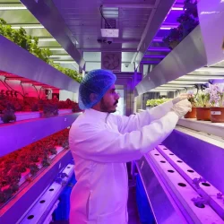 خادم الحرمين الشريفين يصل إلى جدة قادمًا من الرياض