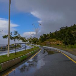 الديوان الملكي: وفاة معالي الدكتور مطلب بن عبدالله النفيسة