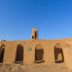 مؤشر سوق الأسهم السعودية يُغلق مرتفعًا عند مستوى 12123 نقطة