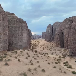 مركز الملك سلمان للإغاثة ينفذ 1,072 مشروعًا لتمكين المرأة في 79 دولة حول العالم بقيمة تتجاوز 700 مليون دولار