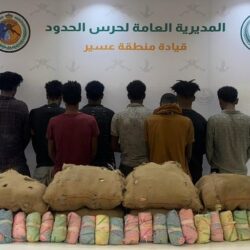 الأمين العام لجامعة الدول العربية يُدين العدوان الاسرائيلي المتكرر على سوريا