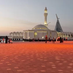 دوريات الأفواج الأمنية بمنطقة جازان تقبض على شخص لترويجه 4 كيلوجرامات من نبات القات المخدر