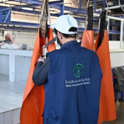 نائب أمير منطقة مكة المكرمة يترأس اجتماع لجنة الحج المركزية