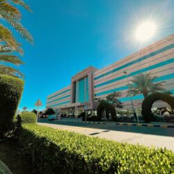 حرس الحدود بمنطقة جازان يقبض على مخالف لنظام أمن الحدود لتهريبه 120 كيلوجرامًا من نبات القات المخدر