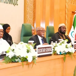 حرس الحدود بمنطقة جازان يقبض على مخالفين لنظام أمن الحدود لتهريبهما (156) كيلوجرامًا من نبات القات المخدر