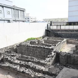 مركز الملك سلمان للإغاثة يوزّع 1.200 سلة غذائية في محلية كرري بولاية الخرطوم في السودان