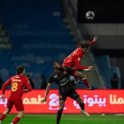 مركز الملك سلمان للإغاثة يوزّع 100 سلة غذائية في مالي