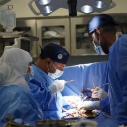 محاريب المسجد النبوي.. شواهد خالدة تُنير دروب التاريخ وتروي أسرار العمارة الإسلامية