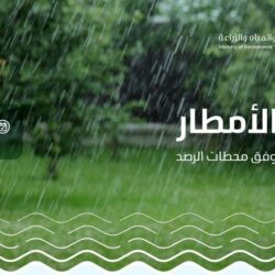 نيابةً عن سمو ولي العهد.. سمو وزير الخارجية يصل القاهرة للمشاركة في القمة العربية غير العادية
