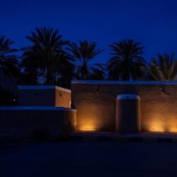 حرس الحدود بمنطقة عسير يقبض على (4) مخالفين لنظام أمن الحدود لتهريبهم (80) كيلوجرامًا من نبات القات المخدر