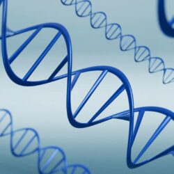 “هيئة الطيران المدني” تُصدر غرامات مالية بقيمة 3.8 ملايين ريال خلال الربع الأول لعام 2025م