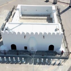 وزير البيئة: المملكة تحتفي بيوم “مبادرة السعودية الخضراء” بإنجازات طموحة ترسم ملامح مستقبل أخضر مستدام