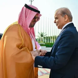 “البيئة”: إنتاج المملكة من بيض المائدة يتجاوز 8 مليارات بيضة خلال 2024