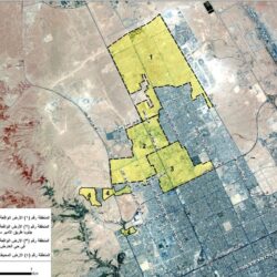 “البيئة” تطلق تقنية الذكاء الاصطناعي لتعزيز الرقابة على المسالخ