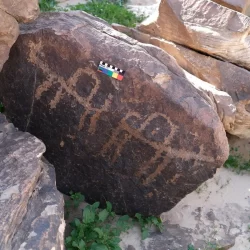 “الزكاة والضريبة والجمارك” تتيح إصدار تراخيص مزاولة مهنة الاستشارات الجمركية