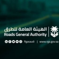 مؤتمر الاتصال الرقمي يقدم جلسته العلمية الثامنة حول الأنمي في الفضاء الرقمي