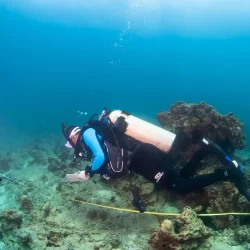 اختتام أعمال مؤتمر تهديدات الأسلحة غير التقليدية بالشرق الأوسط بتنظيم المديرية العامة للدفاع المدني