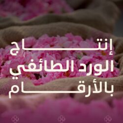 أرامكو السعودية و”بي واي دي” تتعاونان في تقنيات مركبات الطاقة الجديدة