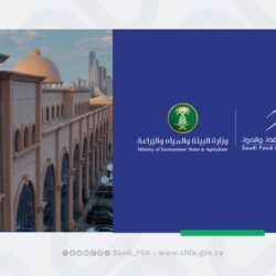 أكثر من 13 مليون زائر للصلاة في الروضة الشريفة خلال عام واحد