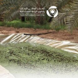 أسعار النفط تتعافى بعد عمليات بيع مكثفة في الجلسات الماضية