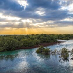 قرية آل موسى التراثية بمنطقة الباحة تحتفي باليوم العالمي للتراث
