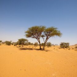 وزير “البيئة” ووزير الدولة للشؤون الخارجية يزوران جناح “الشؤون الإسلامية” ضمن فعاليات “بيئتنا كنز”