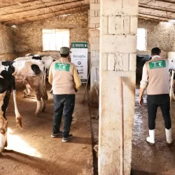 أمطار على منطقة الباحة