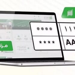 حرس الحدود بمنطقة جازان يضبط (4) مخالفين للائحة الأمن والسلامة لمزاولي الأنشطة البحرية في المناطق البحرية للمملكة